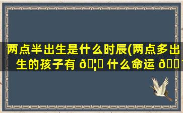 两点半出生是什么时辰(两点多出生的孩子有 🦋 什么命运 🌴 )